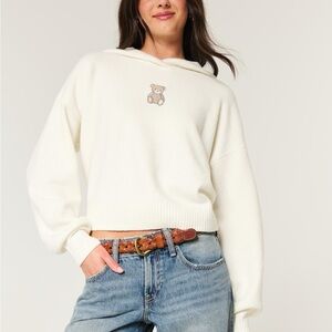 Hollister Cozy Hooded Pullover with Teddy Patch